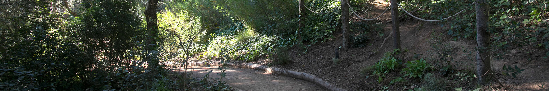 NATURE ET BIODIVERSITÉ