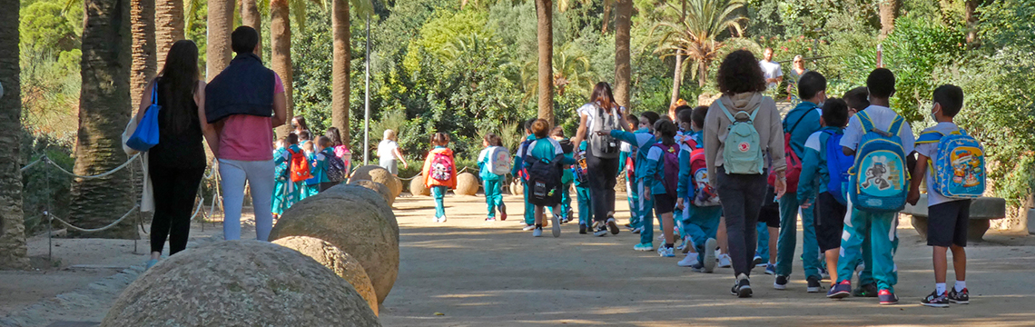 Programa educativo
